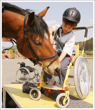 Theraphiepferd mit Kind im Rollstuhl