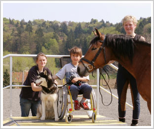 Behindertes Kind mit Theraphiepferd und hund
