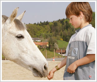 Kind mit Theraphiepferd